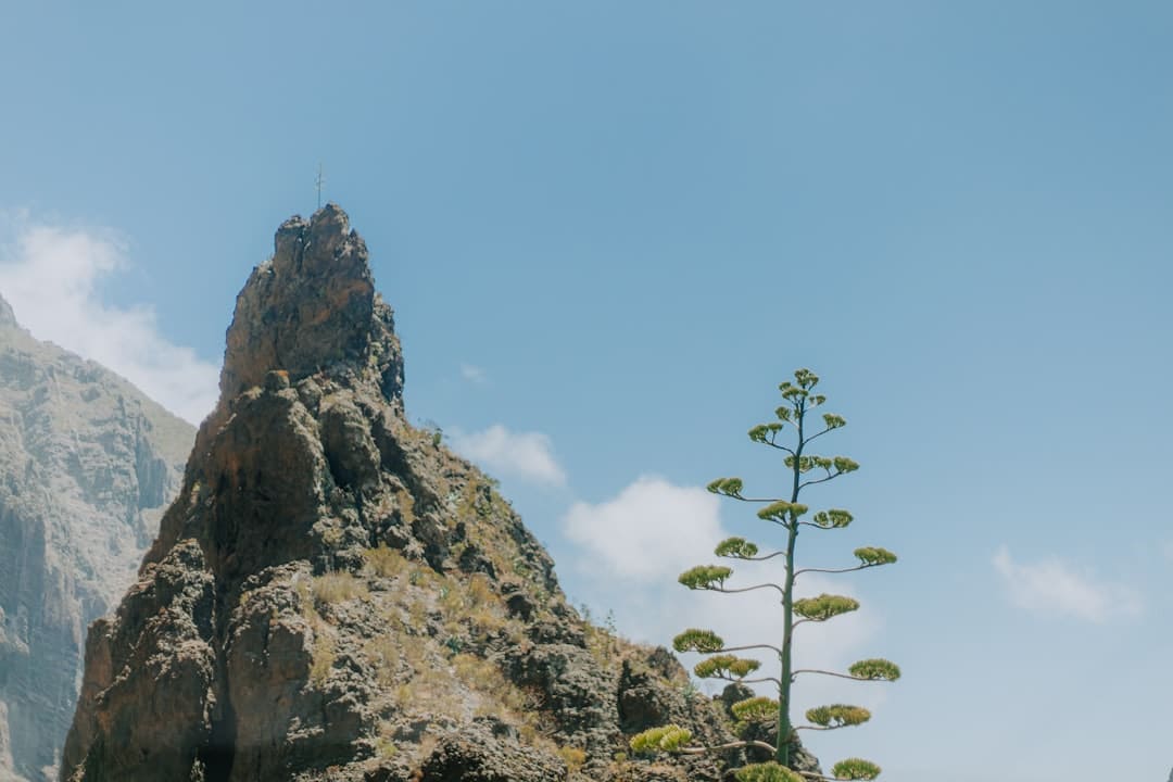 电影《无名指》释出定档预告及海报！8月22日，全国上映！